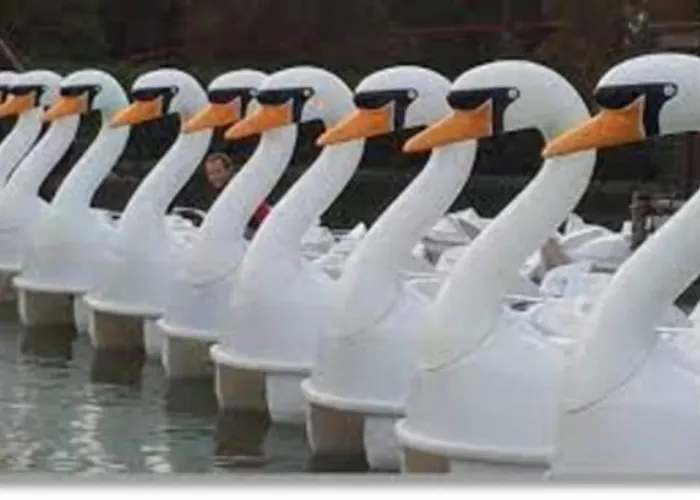 6pers Op Park 't Broeckhuys In Groot Zwemplas In Het Land Maas & Waal Niet Voor Arbeidsmigranten * Ewijk