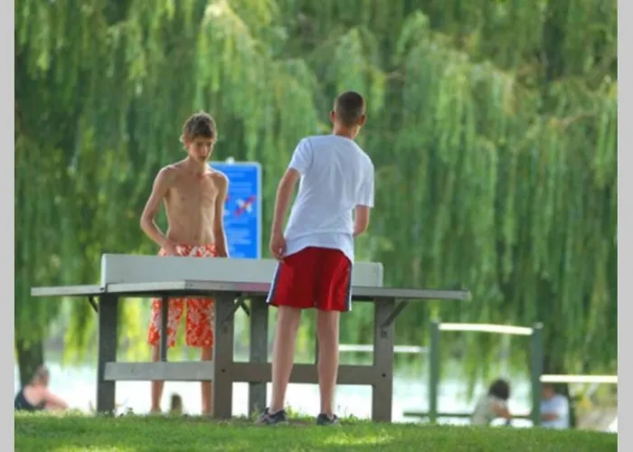 펜션 6pers Op Park 't Broeckhuys In Groot Zwemplas In Het Land Maas & Waal Niet Voor Arbeidsmigranten Ewijk