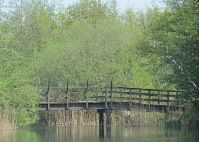 Broeckhuys Park Cottage: Lakeside Retreat For 6