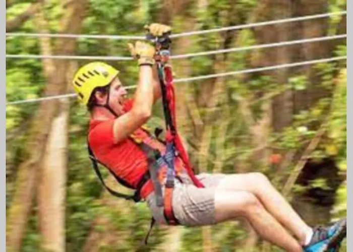 Broeckhuys Park Cottage: Lakeside Retreat For 6 * Ewijk